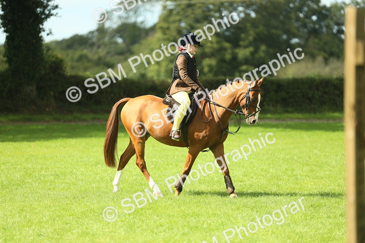 SBM_44626 - S31 - Working Hunter Pony