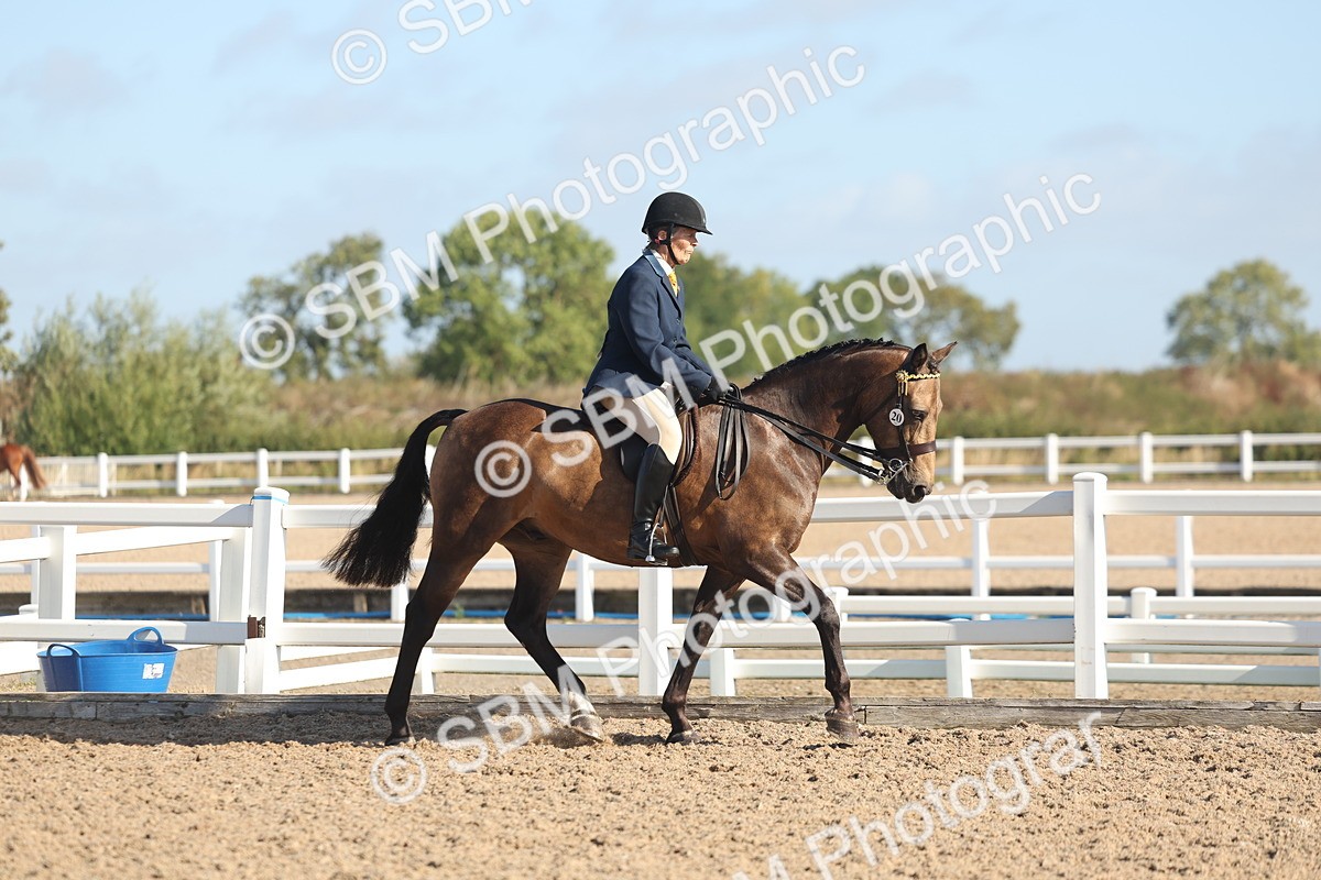 SBM_22274 - Class 803 - Ridden Combination 65+