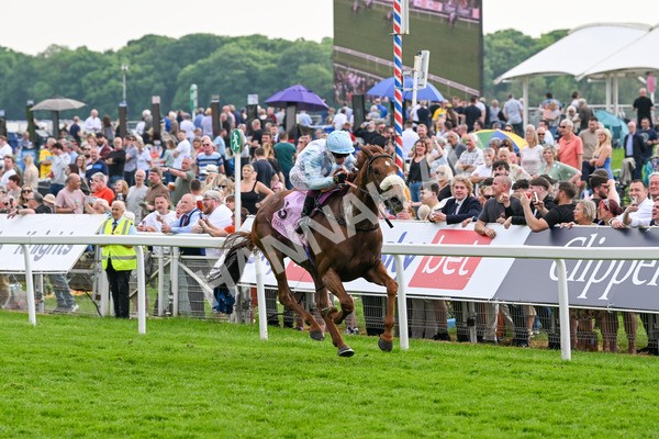 170524-Race 4-Giavellotto-8086 - Race 4 3.45pm Boodles Yorkshire Cup Stakes