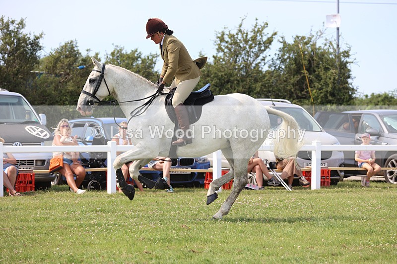 JPP_3672 - Class 23: Working Hunter 80cm