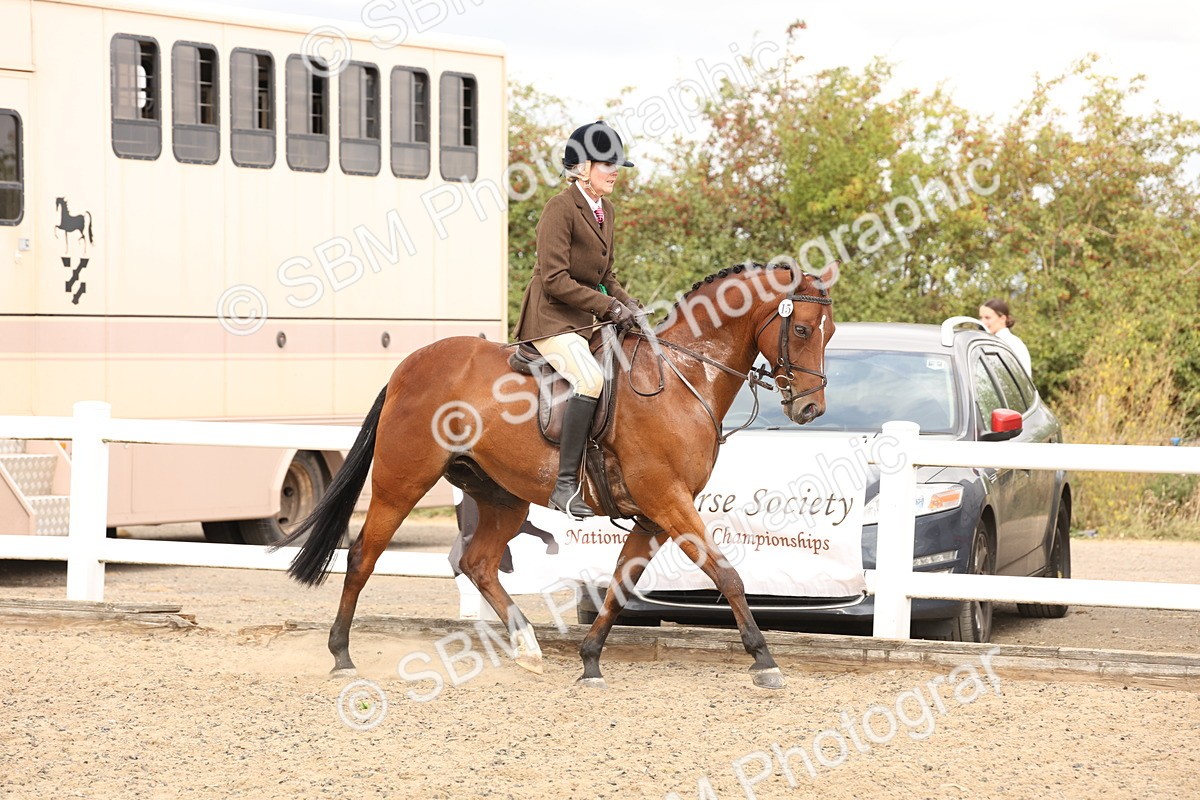 SBM_05182 - Class 56a -  Style & Performance - 50cm (15-19)