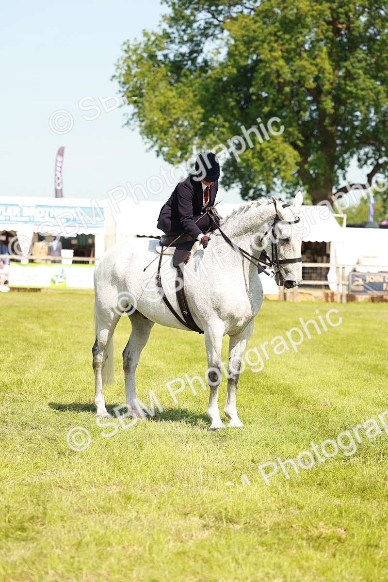 SBM_13209 - Class 70-71 - Side Saddle