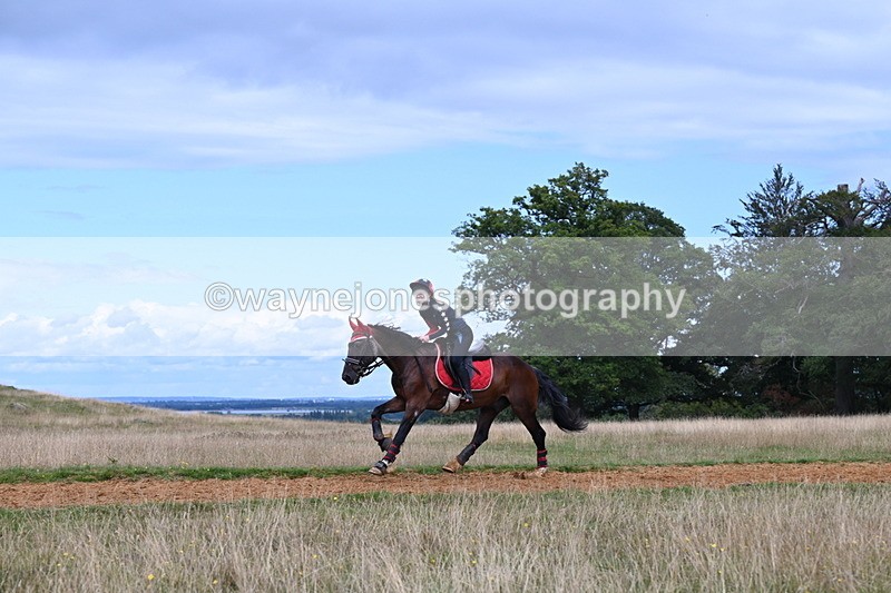 DSC_8915 - Time at Statue 14:33 to 15:10