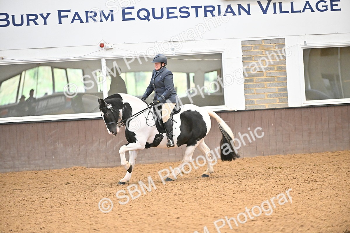 SBM_002648 - Class 28,29 - Ridden Irish & Coloured