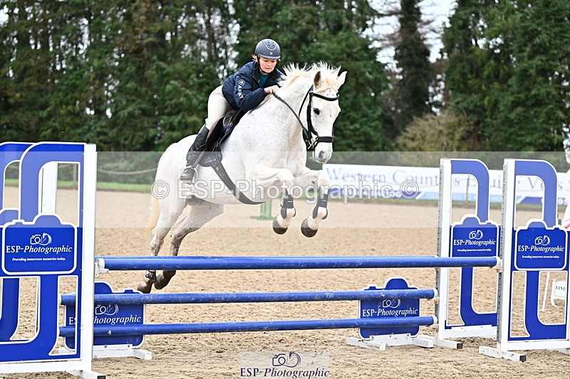 250201A-101728-00189 - Cls 01 Local Horse 90cm