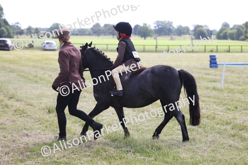 20260614-0599 - Class 20 - Beginners Working Hunter Pony