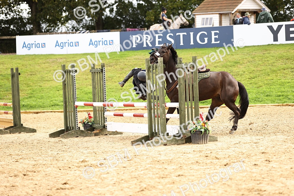 SBM_41090 - J40 Senior Horse & Pony 90cm Supreme Championship
