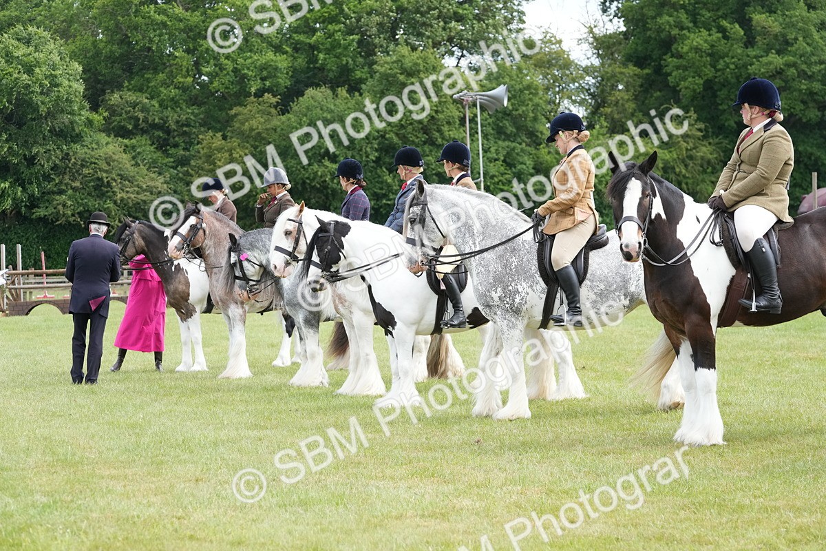 SBM_17320 - Class 107-108 - LIHS BSPS Performance Coloured Horse Pony