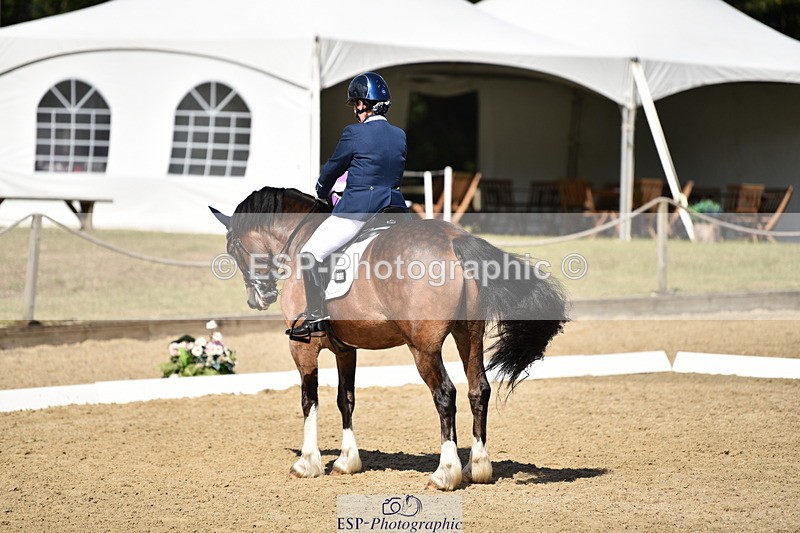 140110A-050840-12390 - 158-Alison.Crimp-Crwys.Beau