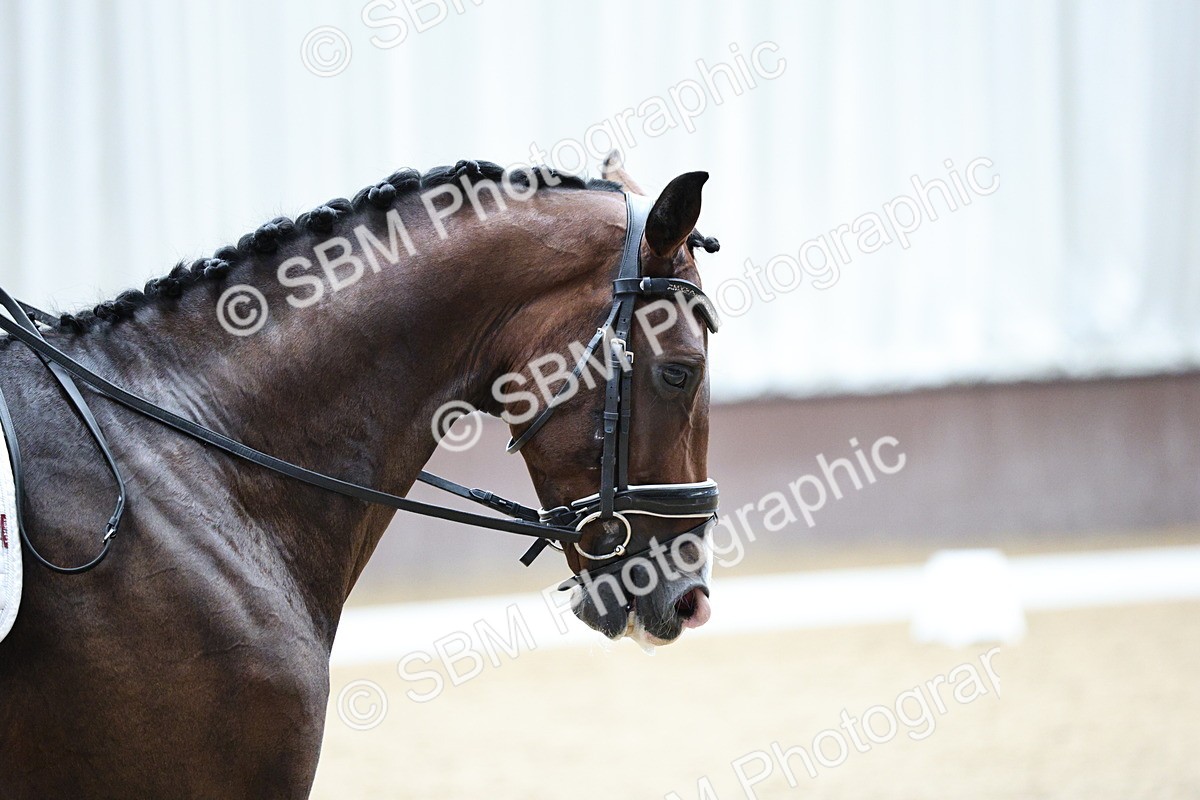 SBM_001179 - Class 5 - Novice 6