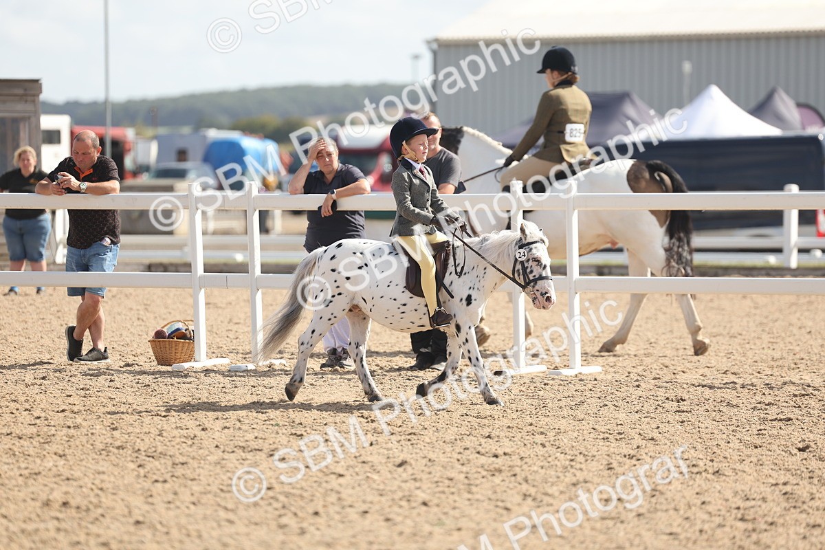 SBM_23126 - Class 806 - Young Rider 10ry and Under