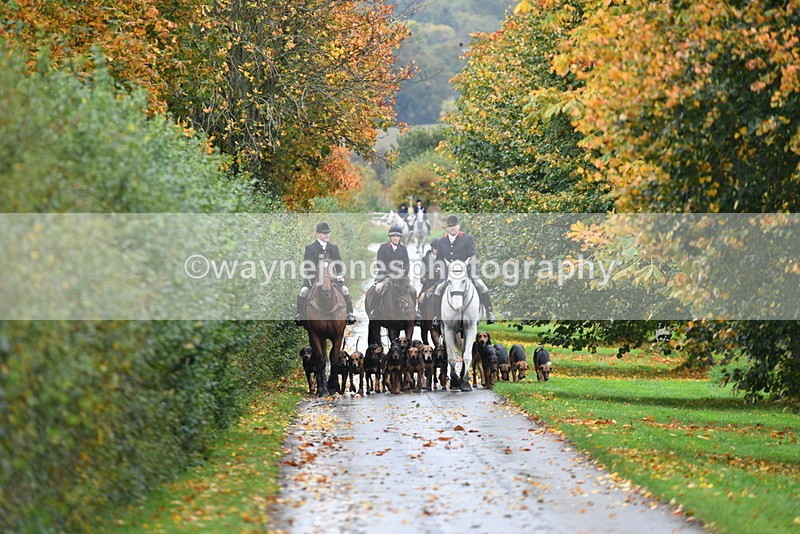 WJ5_6039 - B&B walk back for Hunt Tea !