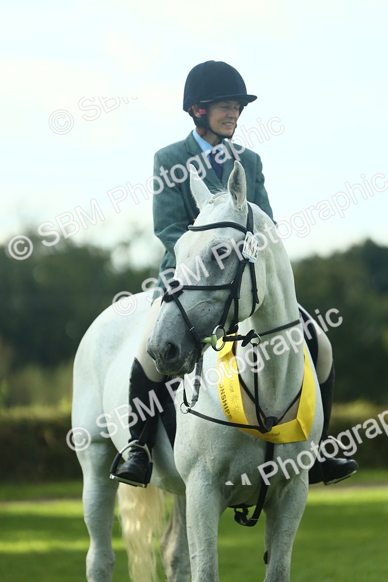 SBM_52227 - S33 - Working Hunter & Working Show Horse