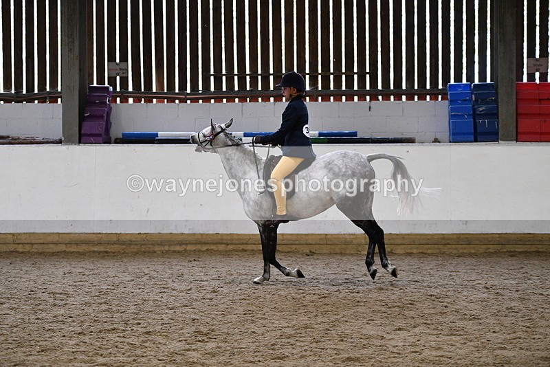 WJ5_7747 - Class 13 Ridden Part Breed