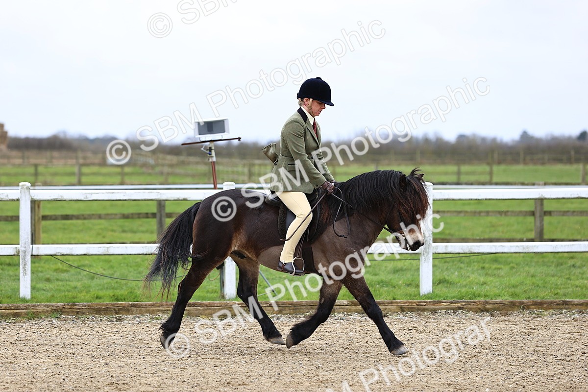 SBM_006781 - Class 29 - 30 - M&M Pure Novice Small-Large Breeds