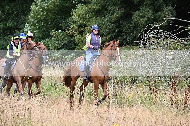 WJ6_2335 - Group 7