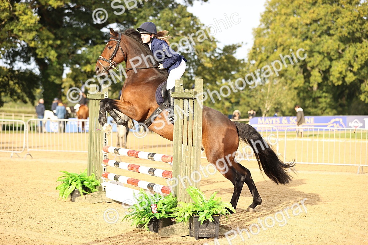 SBM_55232 - J62 - Clear Round 90cm