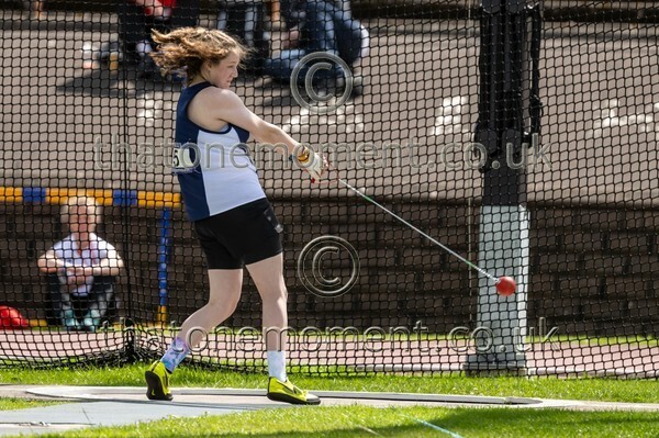 SIAB23-912934 - Field Female Set One