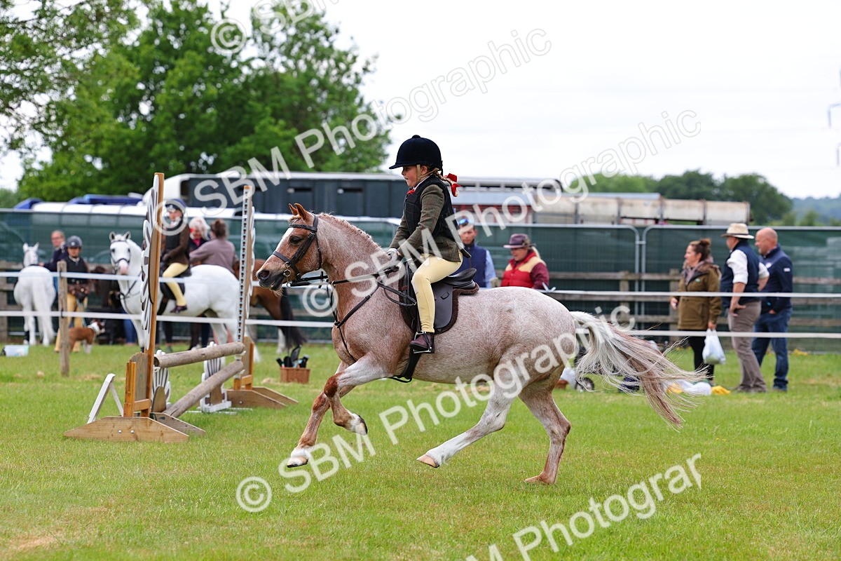 SBM_09410 - Class 44-45 - LIHS BSPS Open Nursery and Cradle Stakes