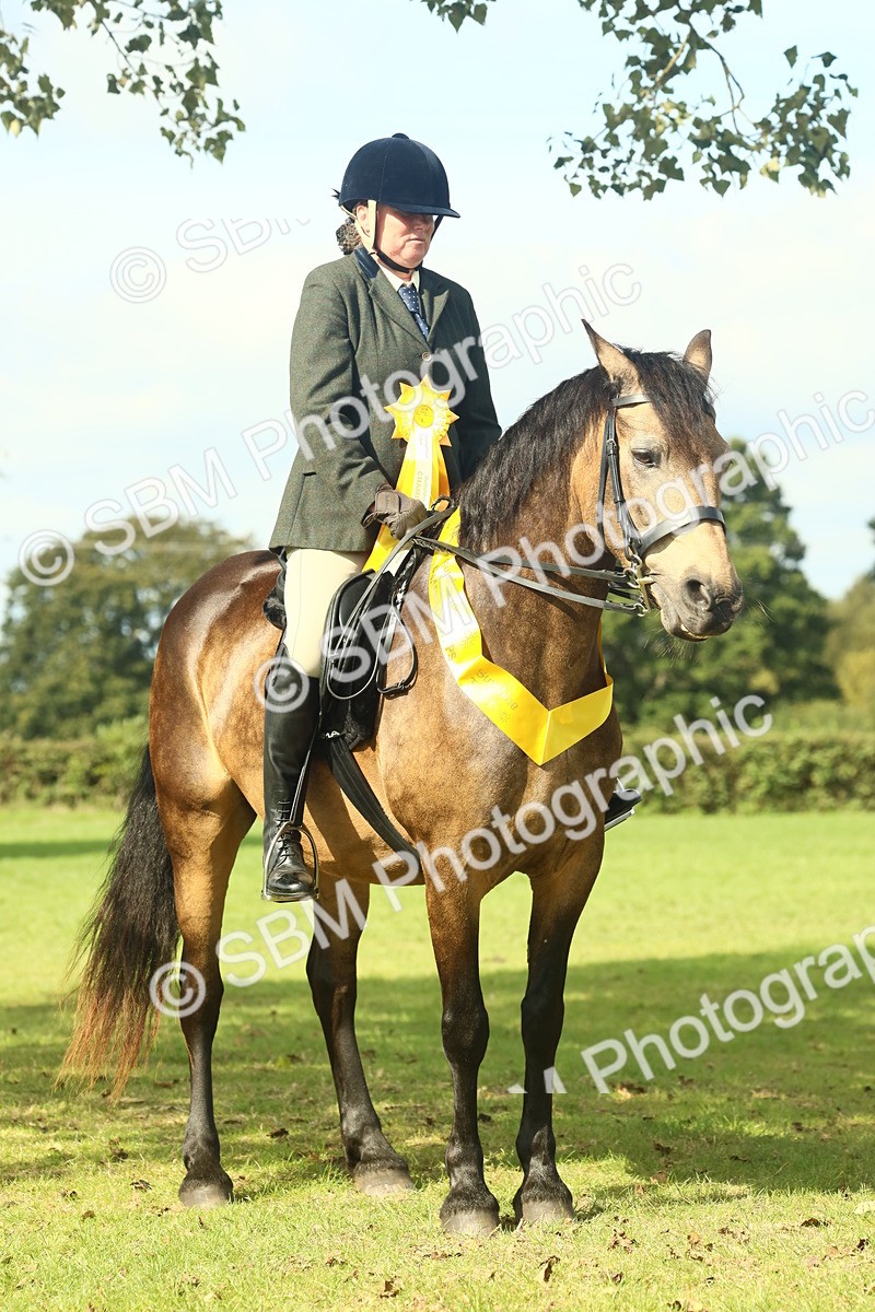 SBM_62704 - S63 - Other Coloured Horse Ridden