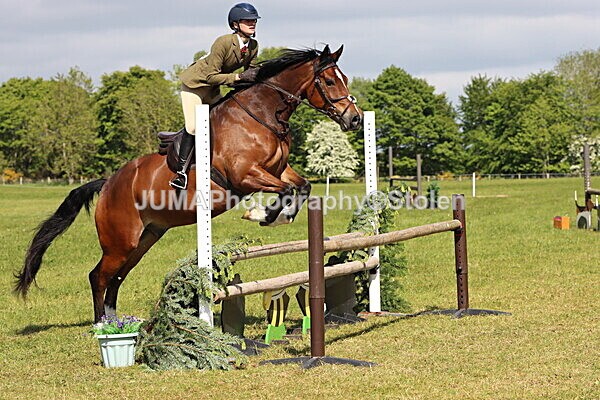 IMG_4710 - Working Hunter