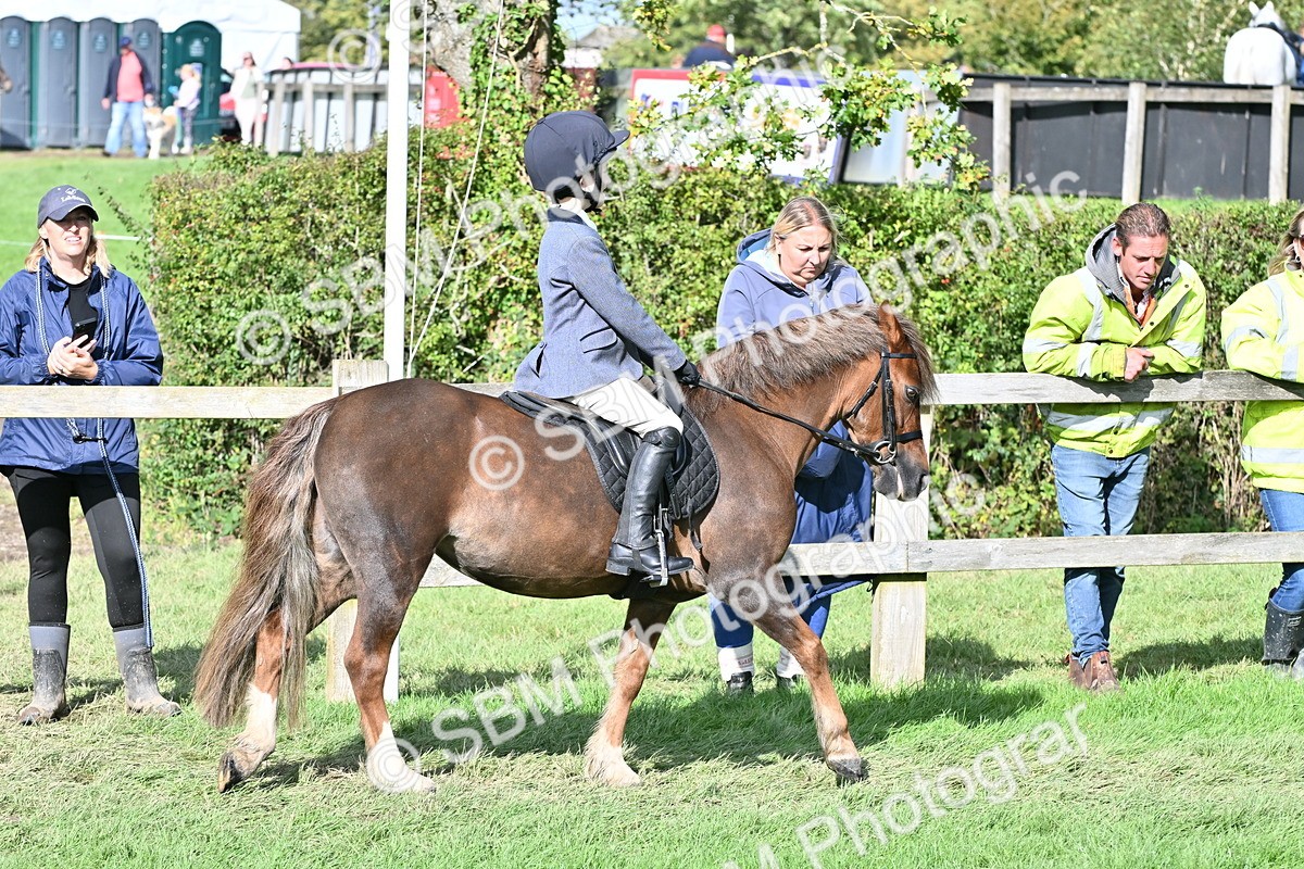 SBM_50233 - S21 - Novice & Newcomers First Ridden