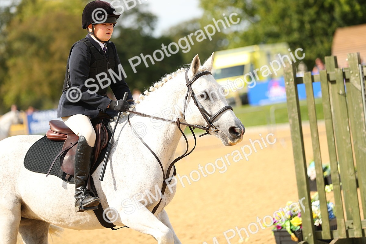 SBM_67338 - J17 - Junior Pony 80cm Championship