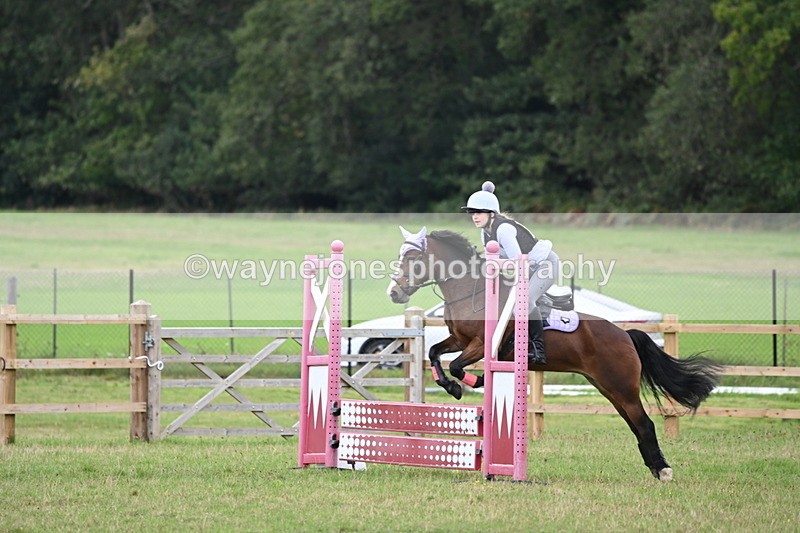 WJ6_1729 - 60cm Time 12:11 to 12:28