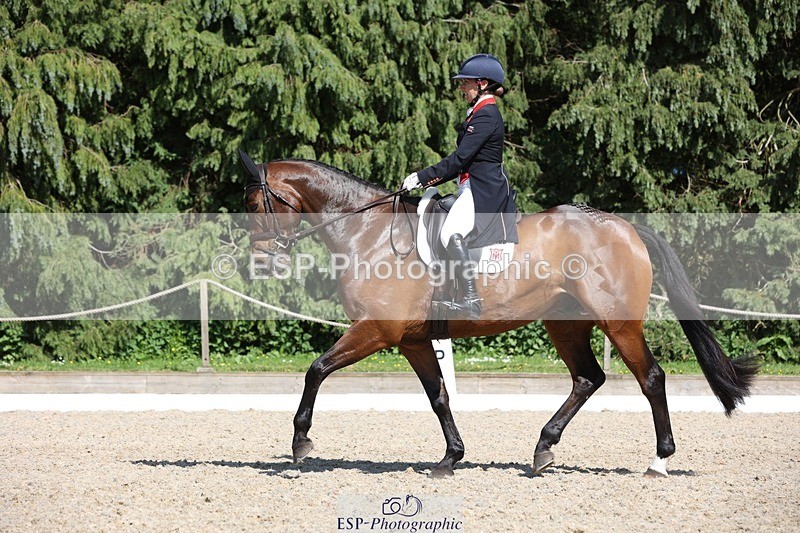 230526-160340-07744 - 168-PARKFIELD_ARTIE_BLOU-Laura_Collett-WEDTrotUp+DR