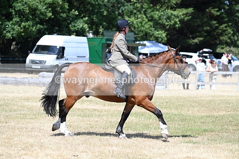 WJ7_3484 - Class 8 Ridden Veterans