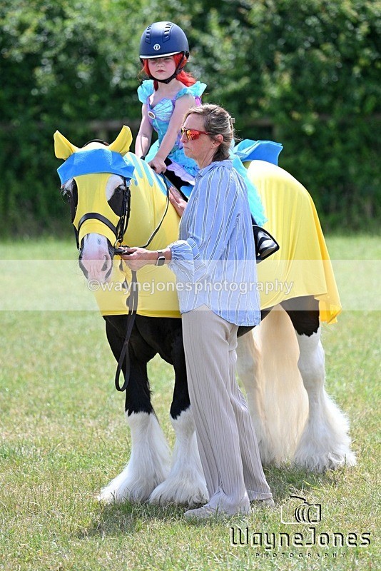 WJ7_7796 - Nancy And Churchill SORC summer show 21-06-26