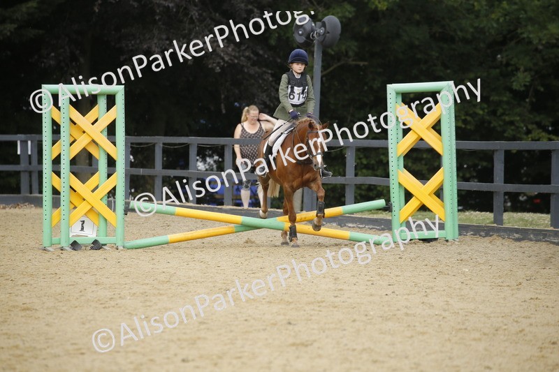 20250622-3749 - 50cm