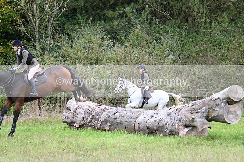 WJ7_3674 - Camera 1 Line 1