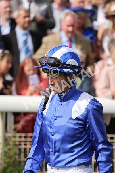 yr18082021r4-10 - Race 4 3.35pm Juddmonte International Stakes (British Champion Series race)