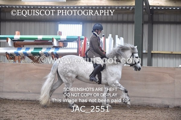JAC_2551 - CLASS 3 Intermediate Working Hunter