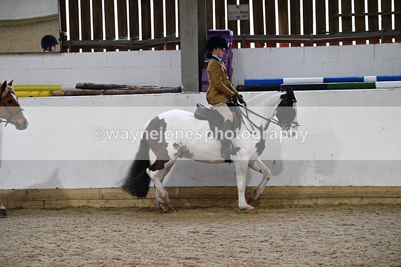 WJ5_7174 - Class 11 Ridden PC - RC Pony
