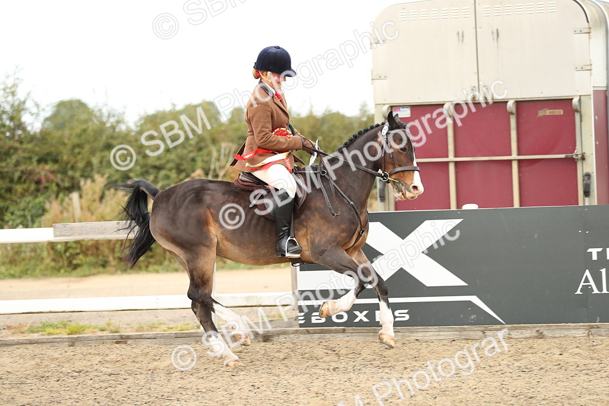 SBM_05285 - Class 47b Style & Performance 60cm (20+)