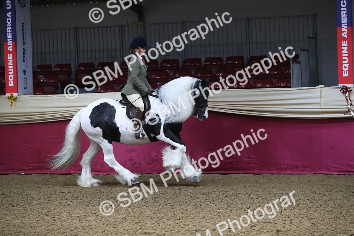 SBM_10357 - Class 102 Equitation (best rider) Adult