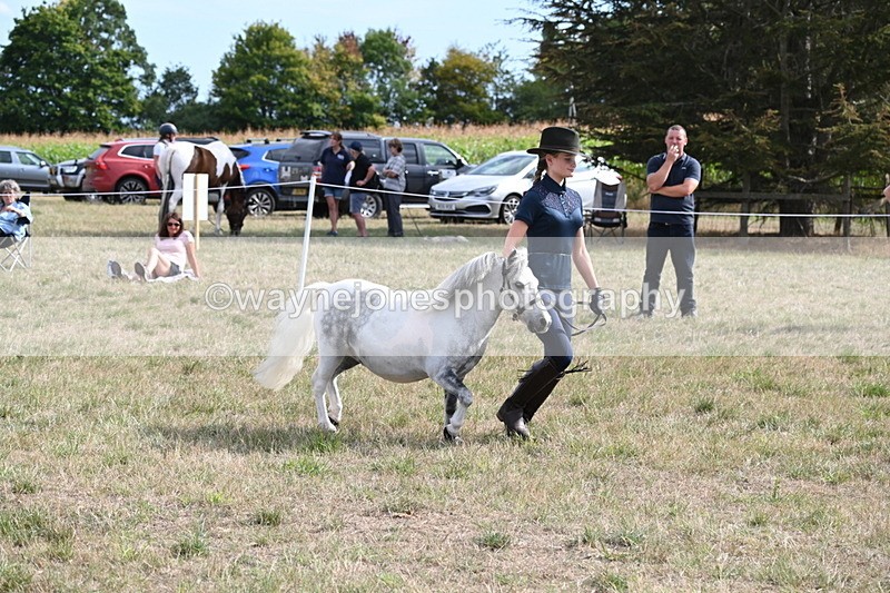 WJ6_7064 - Class 21 Shetland & Mini Horses