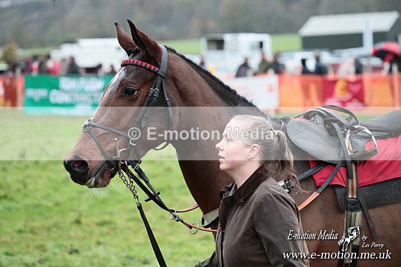 PtP 091125  1211 - Point-to-Point Wales Area Club Lower Machen, Gwent 09/11/25