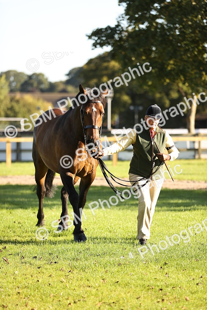 SBM_15731 - S1 - TSR in Hand Horse & Pony Showing