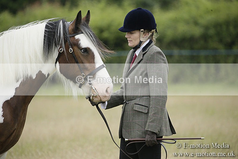 B230619-0069 - Bourne Valley Riding Club Summer Show 23/06/19