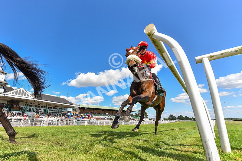 080726-Race 5-Sugarpiehoneybunch-2198 - Race 5 16.00pm Bet At racingtv.com Handicap