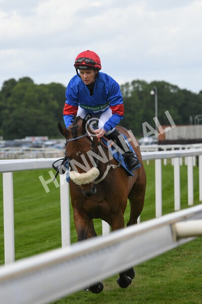yr11062022r2-10 - Race 2 2.00pm Queen Mother's Cup