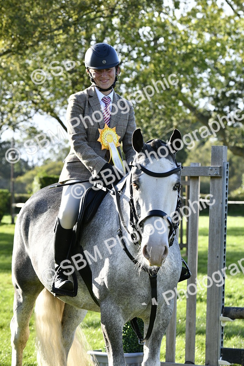 SBM_52274 - S35 - Working Hunter & Working Show Horse