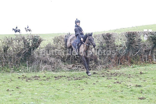 _MGN0637 - Summerhill Chase 2012