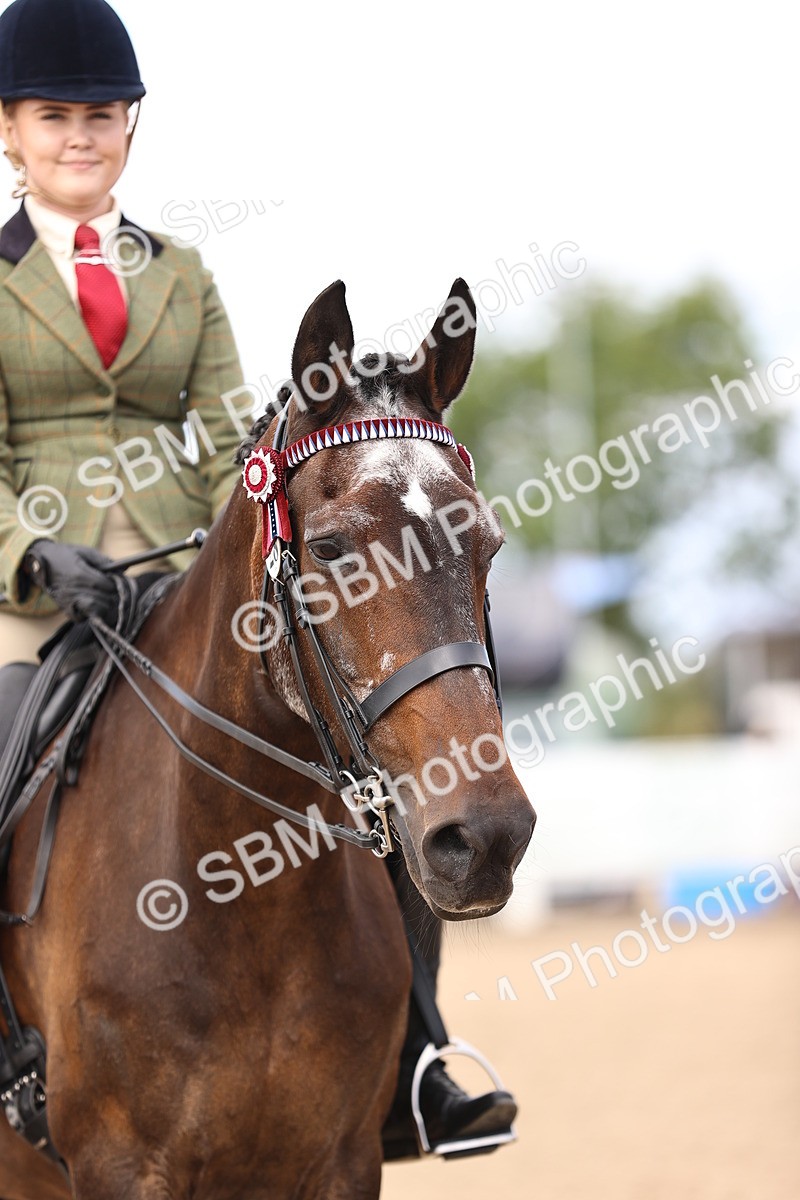 SBM_12950 - Class 410 - Grassroots Ridden - Horse