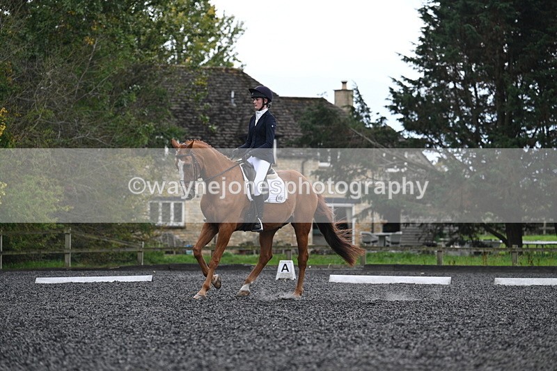 WJ7_6712 - Time 14:49 to 15:14