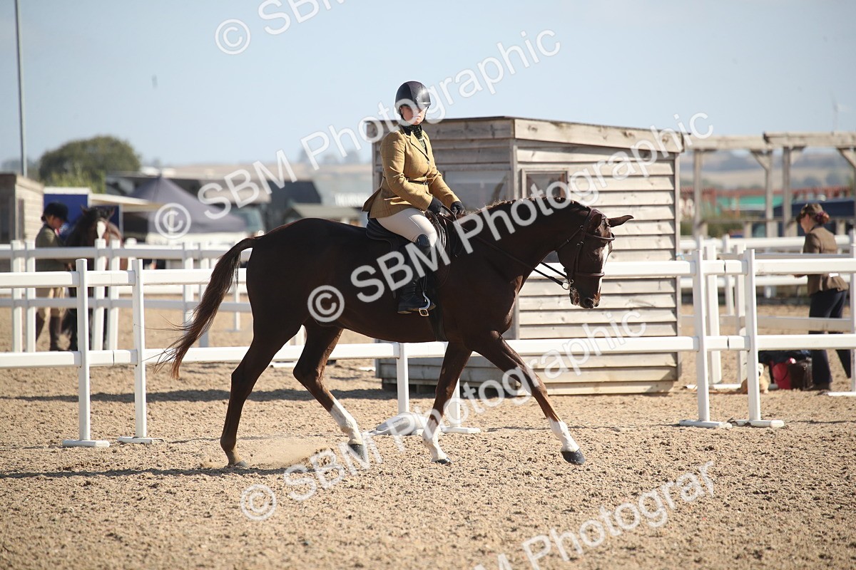 SBM_22832 - Class 602 - 2026 Area - Ridden Veteran