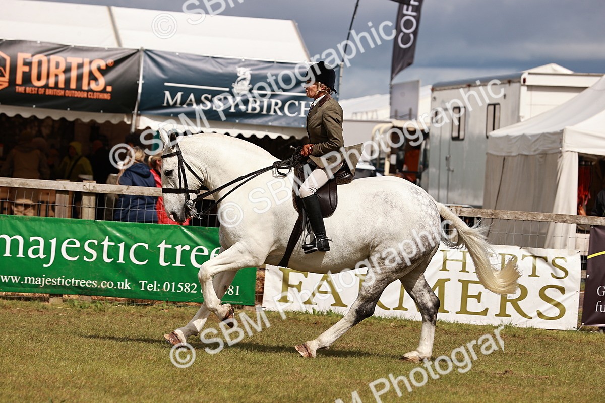 SBM_13115 - Class 85-87 - RIHS Cobs